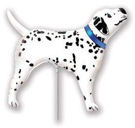 Real Dalmatian Mini