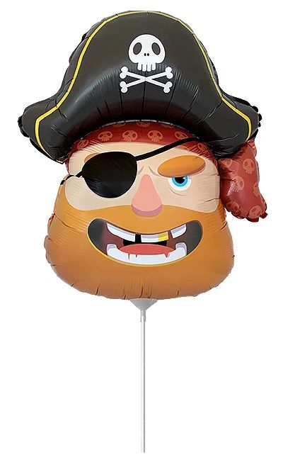 Pirate Head Mini