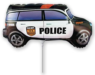 Police Car Mini